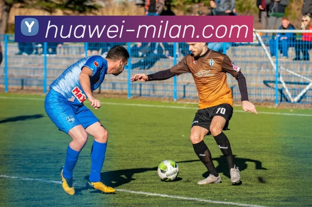 米兰体育APP 封面图